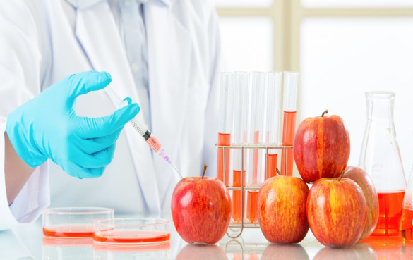 如果你了解转基因食品背后的科学原理，你会吃吗？