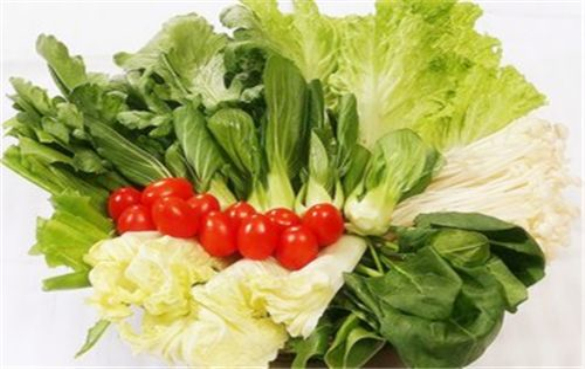 蔬菜类原料的加工工艺