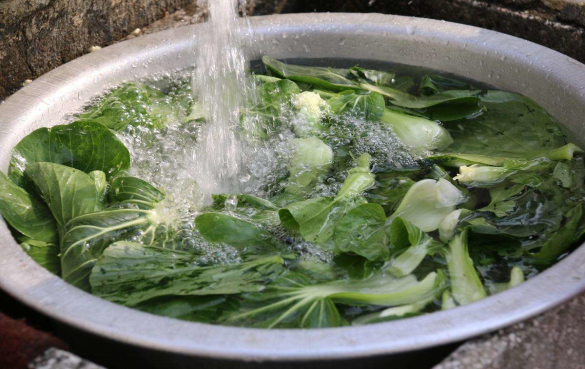 蔬菜类原料的加工工艺