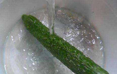 蔬菜类原料的加工工艺