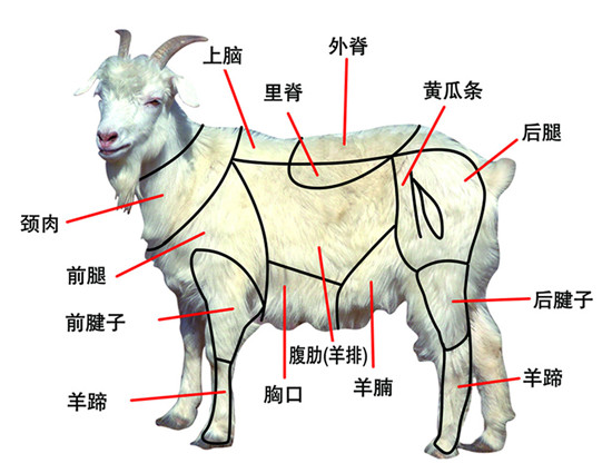 畜类原料的加工工艺