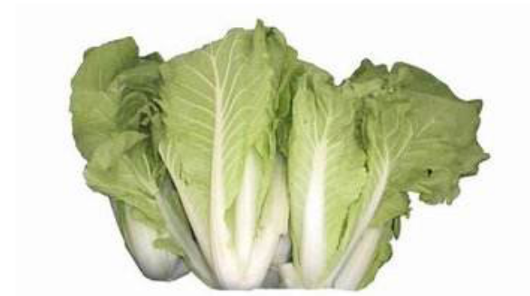 小白菜（Bok choy）的营养价值和健康功效