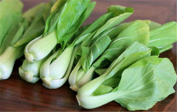 小白菜（Bok choy）的营养价值和健康功效