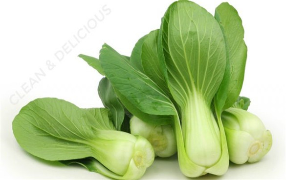 小白菜（Bok choy）的营养价值和健康功效