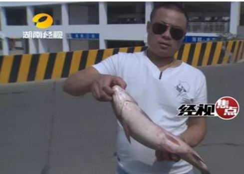煮不烂的草鱼？其实是脆肉鲩吃法不对