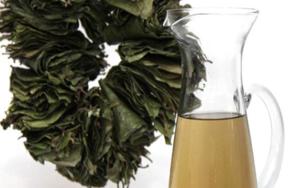 瓜尤萨茶的功效与作用