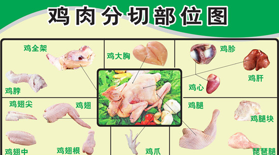 禽类（鸡）的分档取料_赣州厨师学徒