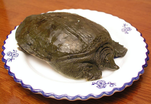 水产品初步加工的方法_烹饪技巧